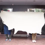 文庫革づくりの”源”を訪ねて／本年もありがとうございました